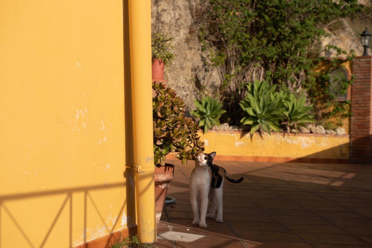 Marachia Apartment Savoca Dış mekan fotoğraf